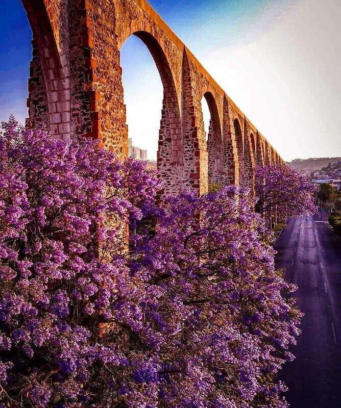 FROM CDMX: Michoacan, Morelia, Guanajuato, Queretaro, Morelos, Guerrero - Transportation, Accommodation, and Value