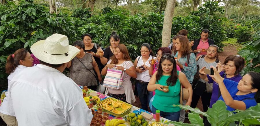 FROM CDMX: Puebla, Oaxaca, Veracruz, Chiapas, Campeche, Yucatan 13 DAYS - Day 2: From Puebla to Oaxaca — Ancient Ruins and Indigenous Markets