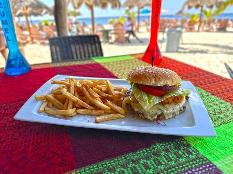 From Cozumel: Chankanaab Park Day pass with Open Bar & Lunch - What to Expect During Your Visit