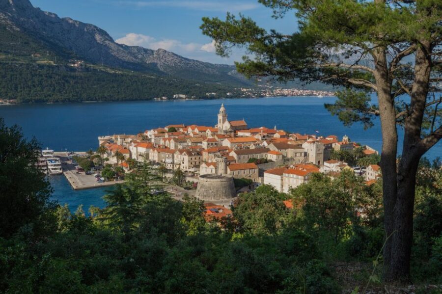 From Dubrovnik: Guided Tour of Peljeac & Korula - The Experience in Detail: Pros and Cons