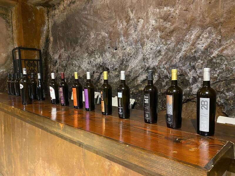 From Ensenada: Wine Tour at Guadalupe Valley Ensenada - Who Will Love This Tour?