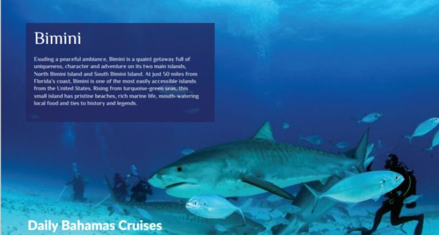 From Fort Lauderdale: Bimini Island Day Trip by Ferry - Exploring the Bimini Day Trip: What to Expect