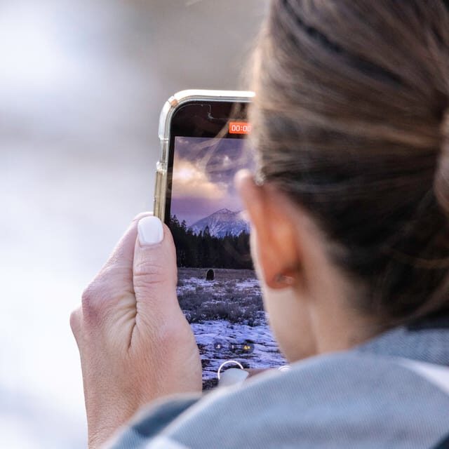 From Jackson: Grand Teton Sunset and Sightseeing Tour - How the Tour Unfolds