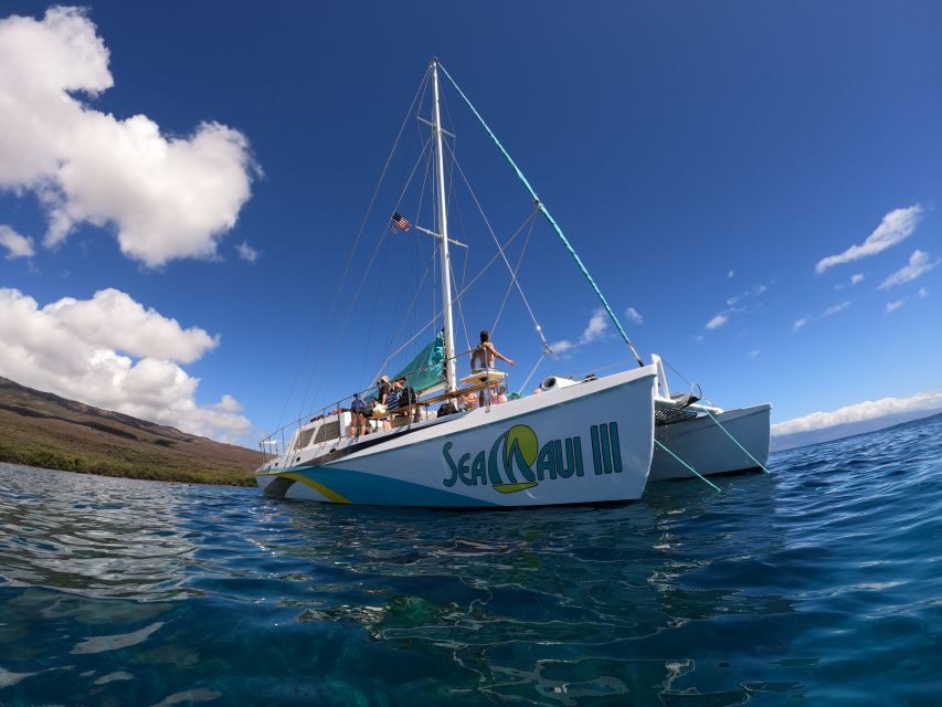 From Ka'anapali: West Maui Half-Day Snorkel Tour w/ Food - The Value of the Experience