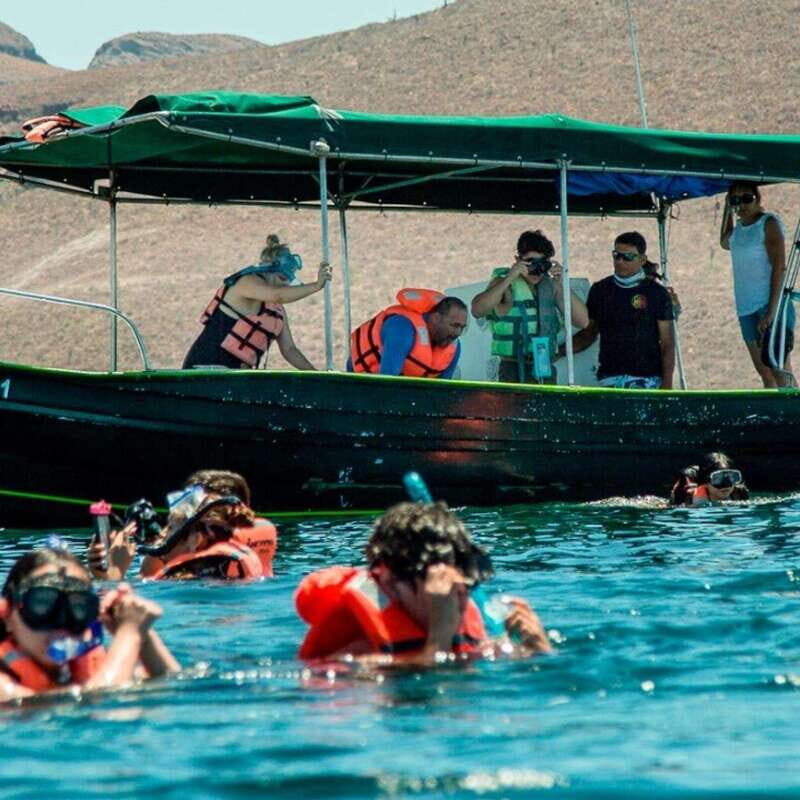 From La Paz: Espíritu Santo Island Tour all inclusive - The Details That Make or Break It