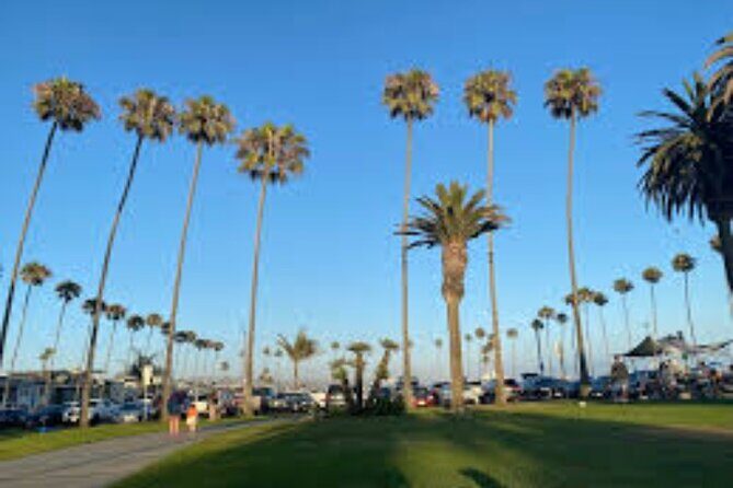 From Los Angeles Full Day Private Orange County Beach Cities Tour - What Travelers Say