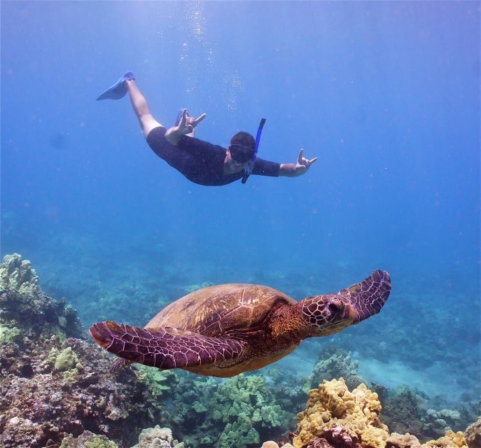 From Ma'alaea: AM Turtle Town Snorkel Aboard Quicksilver - The Itinerary: What You Can Expect