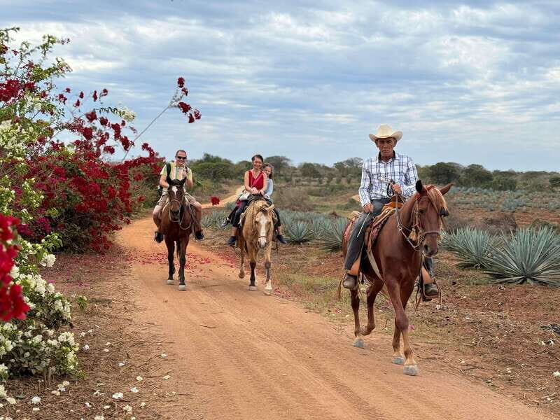 From Mazatlan: ATV & Horse Back riding with Tequila Tasting - The Itinerary breakdown