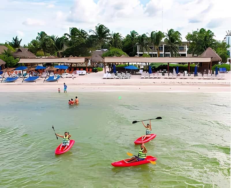 From Merida: Beach, Mangrove and something more - What to Expect and Practical Tips