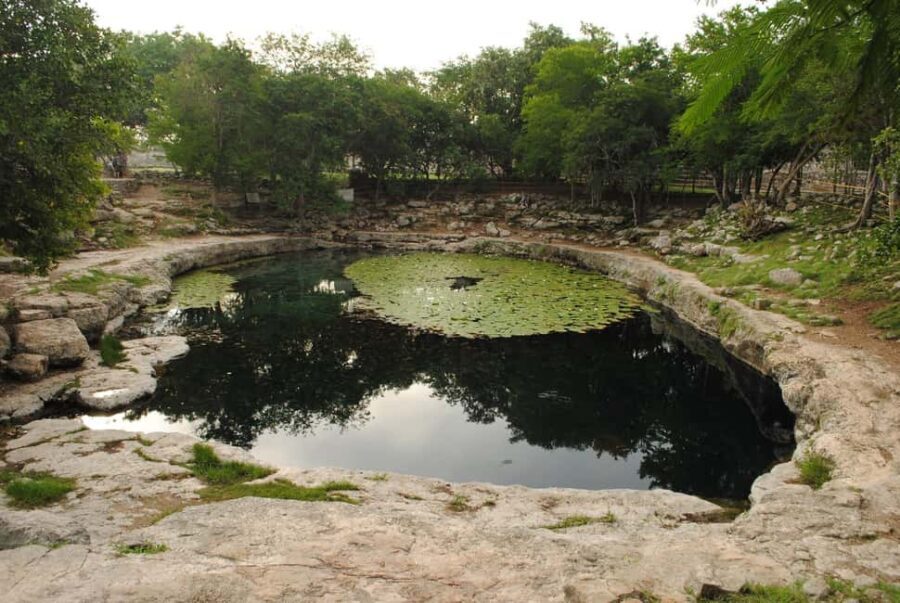From Mérida: Mayan Dzibilchaltún & Progreso Beach Tour - Transportation and Group Dynamics