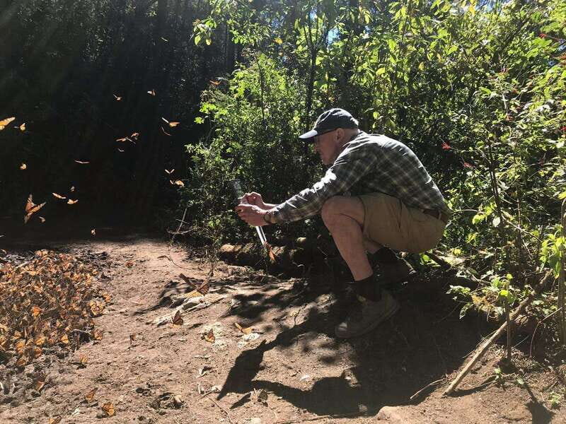 From Mexico City: 7-Day Monarch Butterfly Tour - What’s Included and What’s Not