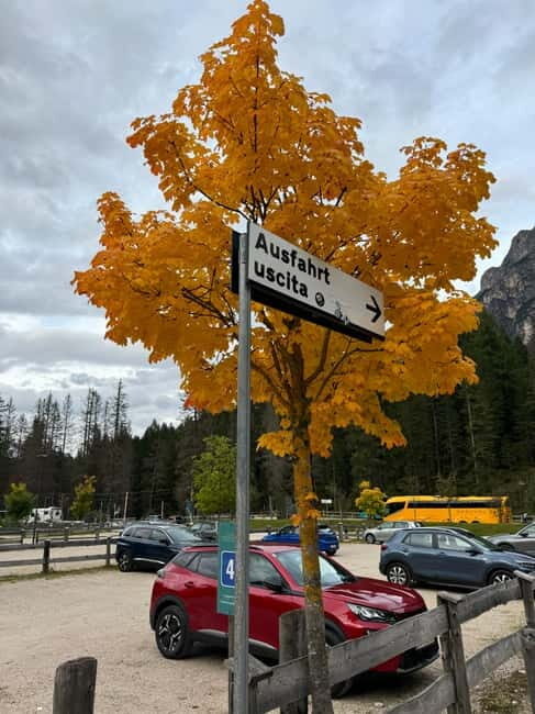 From Milan: Harley Davidson motorcycle tour in 5 countries unique experience! - What Riders Say