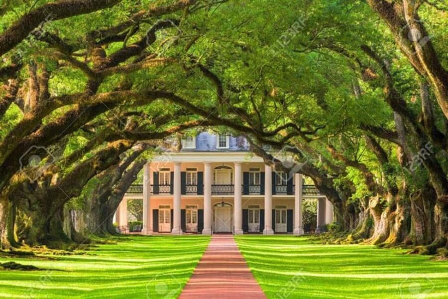 From New Orleans: Oak Alley and Laura Plantation Guided Tour - Analyzing the Experience for Travelers