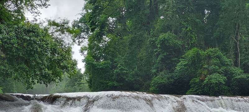 From Palenque: Palenque and Roberto Barrios Waterfalls Tour - The Itinerary in Detail