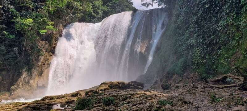 From Palenque: Roberto Barrios and El Salto Waterfalls Tour - What’s Included and What’s Not?