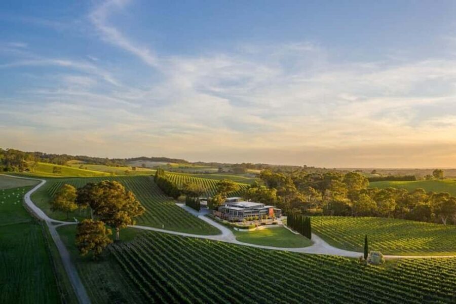 From Phoenix: Vortex to Vineyard Private Tour - Visiting the Chapel of the Holy Cross