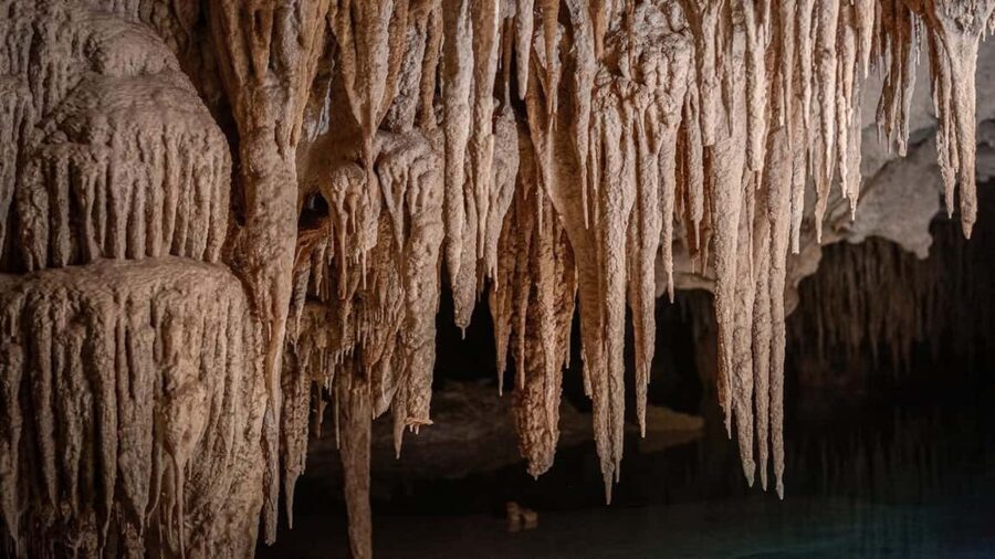 From Playa del Carmen or Tulum: Rio Sagrado Experience - The Value of the Rio Sagrado Experience