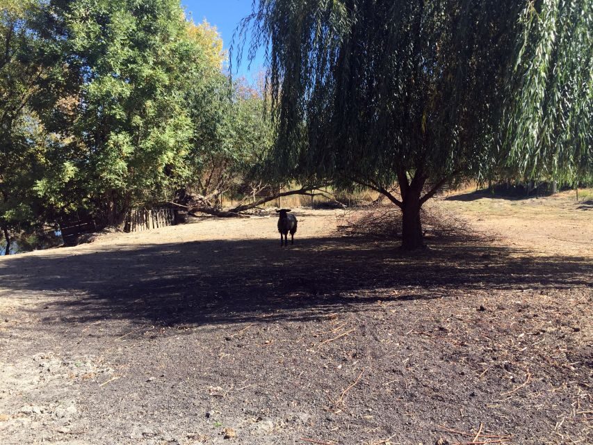 From Portland: Willamette Valley Wine & Whisky - The Value and Who Will Appreciate It