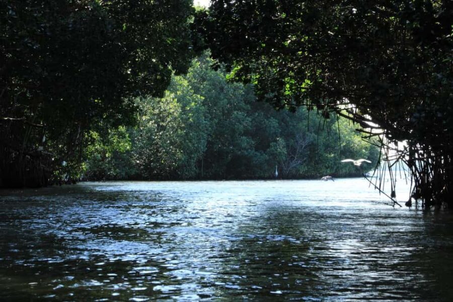 From Puerto Escondido: Day Trip to Chacahua National Park - What Makes This Tour Stand Out?