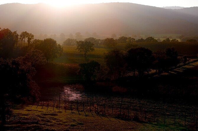 From Rome: Hidden Tuscany Day Trip with Lunch and Wine Tastings - Frequently Asked Questions