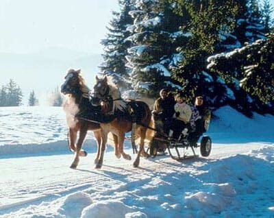 From Salzburg: 8 hour Horse-Drawn incl. 2-hour Carriage Ride - The Village of Ramsau: A Mountain Paradise
