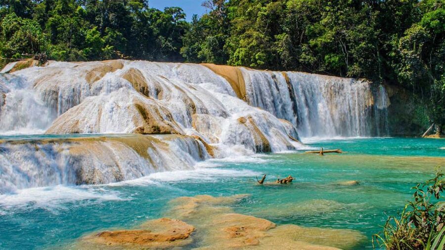 From San Cristóbal: Agua Azul and Palenque Day Trip - The Experience from Travelers’ Perspectives