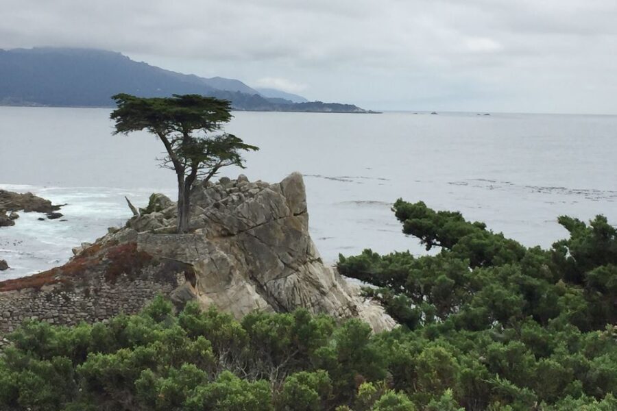 From San Francisco: Carmel, Monterey & Big Sur Private Tour - An In-Depth Look at the Experience