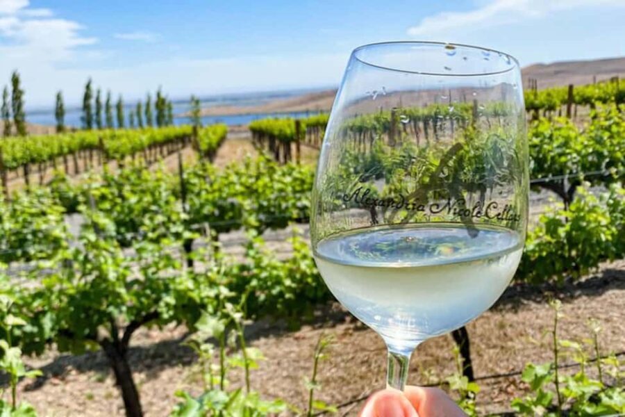 From Seattle - Wine Tasting, Vineyards in Eastern WA - A Scenic and Tasty Journey into Washington Wine Country