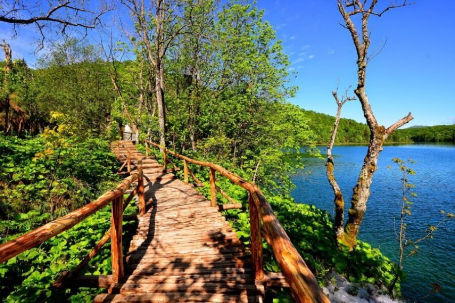 From Split or Trogir: Plitvice Lakes Trip with Entry Ticket - The Sum Up