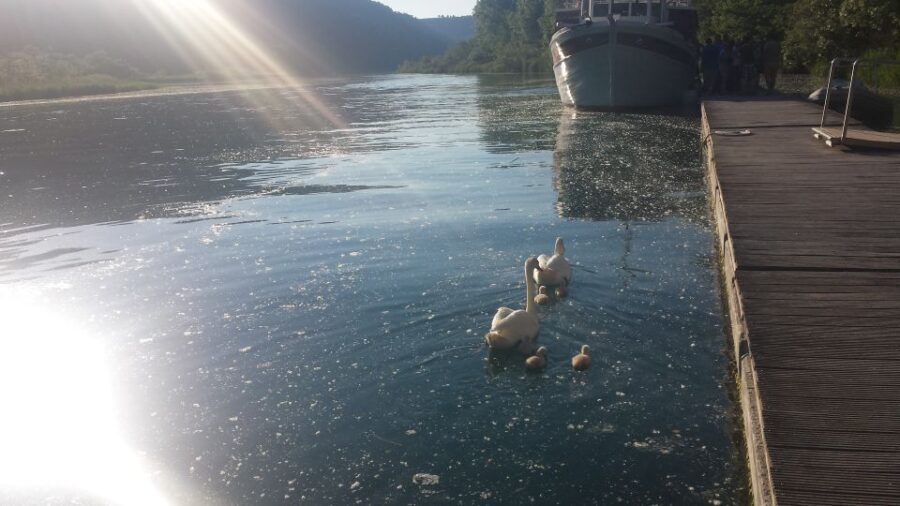 From Split & Trogir: Krka Waterfalls and Primoten - The Village of Ethno: A Step Back in Time