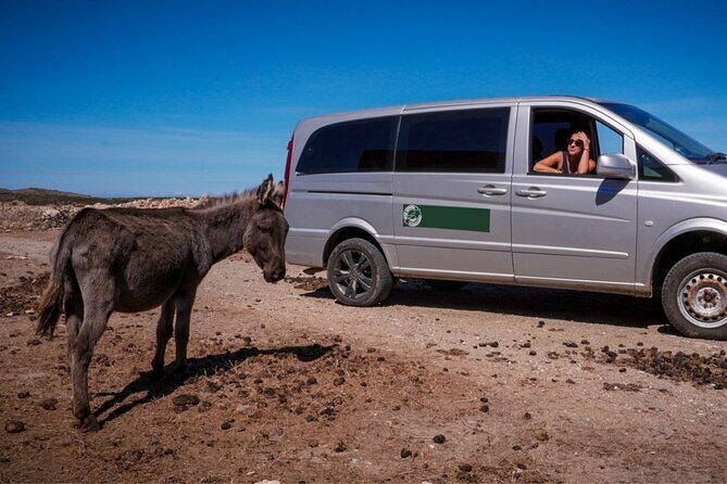 From Stintino: minivan tour of Asinara - What’s Included & What to Budget For