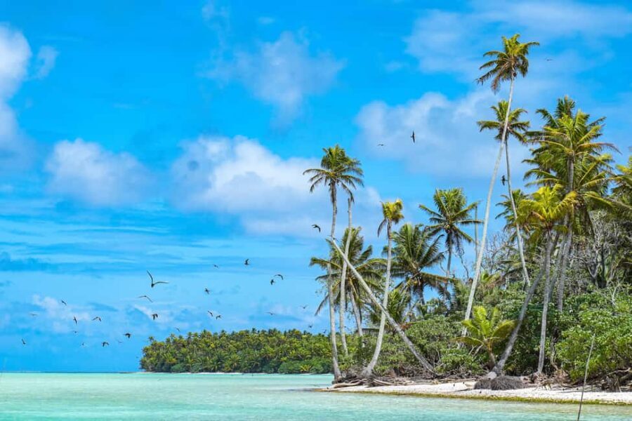 From Tahiti: Tetiaroa Island Tour by Sailing Catamaran - Is This Tour Worth the Price?