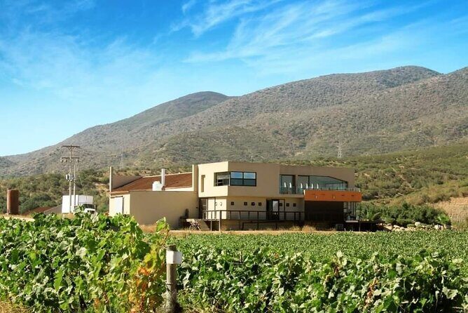 From the Border Valle de Guadalupe Private Wine Tour - Why This Tour Works Best for You