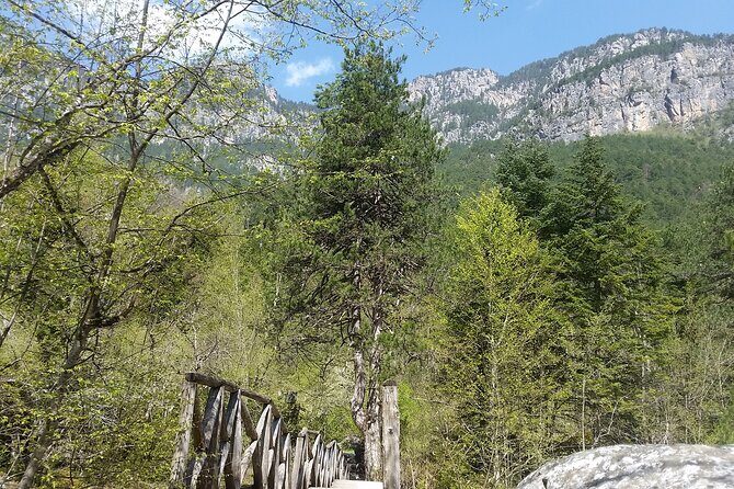 From Thessaloniki: Olympus and Dion History and Nature Day Trip - Transportation, Group Size, and Comfort