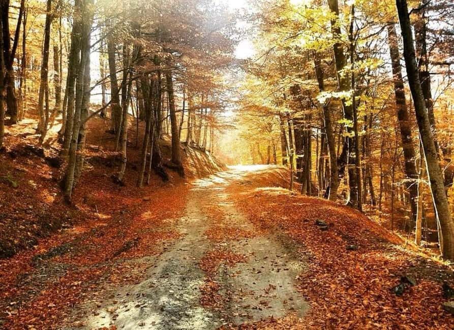 From Tirana / Durrës: Qafë-Shtamë, Sarisalltik & Krujë Tour - Who Will Love This Tour?