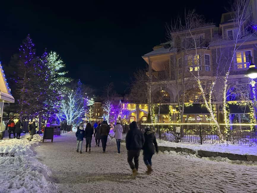 From Toronto: Blue Mountain Day Trip Skiing Snowboarding - Who should consider this tour?