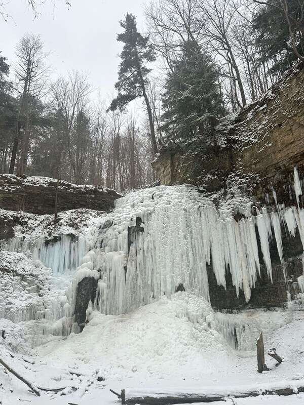 From Toronto: Niagara Falls Day Trip & Wine Tasting - What You Can Expect on This Day Trip