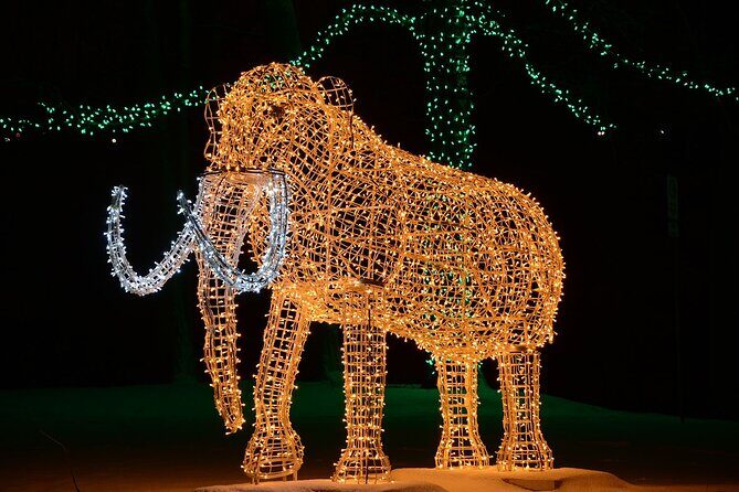 From Toronto:Winter Festival of Lights Niagara Falls Evening Tour - Transportation & Group Size