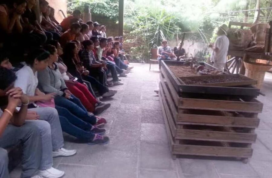 From Veracruz: Xalapa & Coatepec Day Trip - Why This Tour Offers Good Value