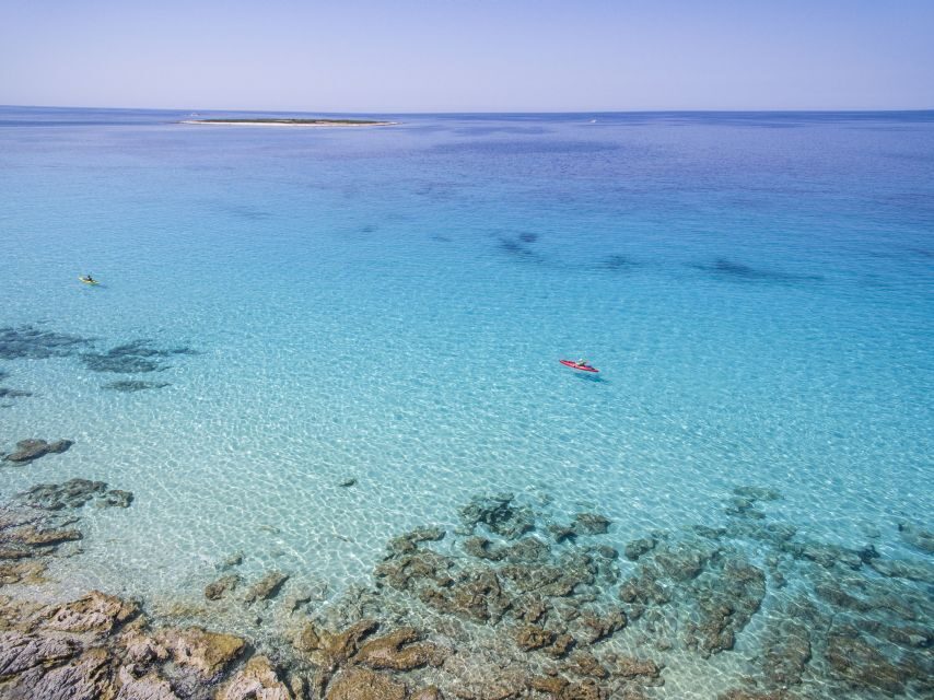 From Zadar: Dugi Otok Half-Day Kayak Adventure - The Itinerary: What to Expect on the Dugi Otok Kayaking Adventure