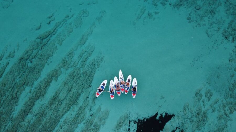 From Zadar: Full Day Dugi Otok Guided Paddle Board Tour - Who Will Love This Tour?