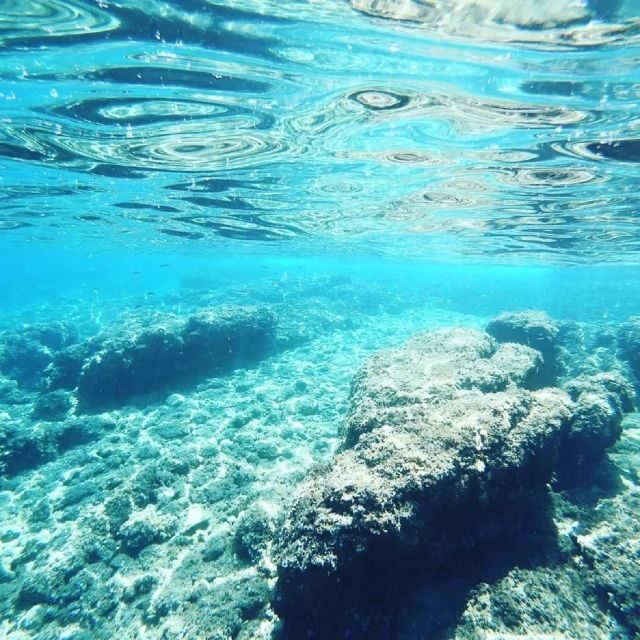 From Zadar: Sports Sailing Tour with Swimming Breaks - Sailing and Learning