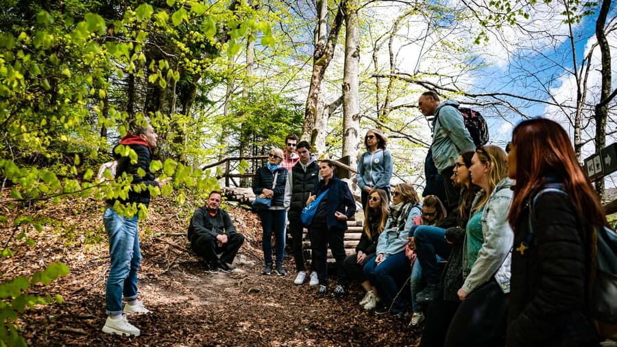 From Zagreb: Plitvice Lakes National Park Full-Day Tour - Value and Cost Analysis