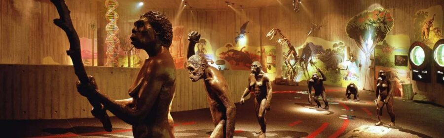 From Zagreb:Discover North Croatia, Museums, Castle and City - Final Thoughts