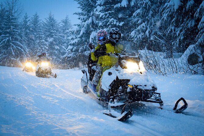 From Zakopane Snowmobile Ride with Bonfire and Transfer - Final Thoughts: Is This Tour Right for You?