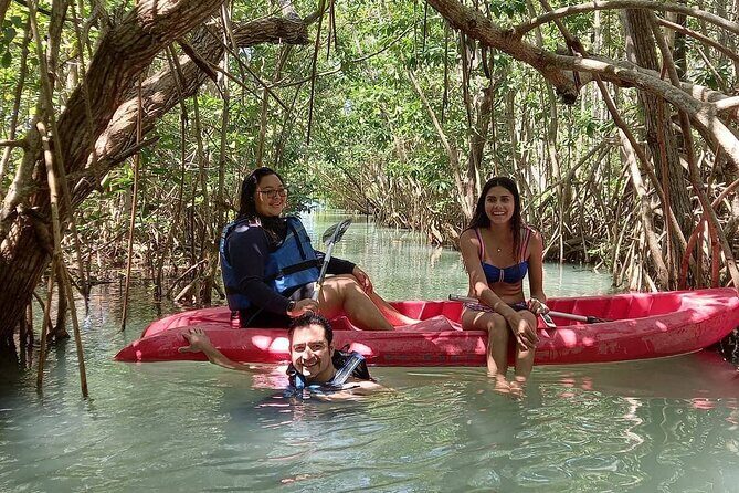 Full Day Guided Mangrove Bote Ride & Sisal Beach Time - Who Should Consider This Tour?
