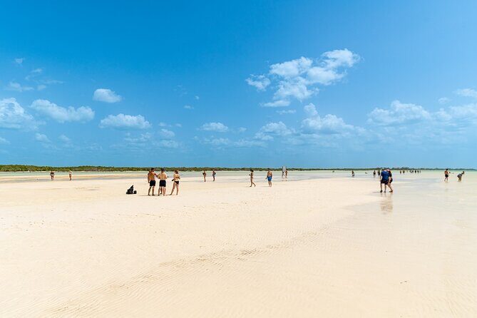 Full Day Holbox Island Tour from Playa del Carmen with Lunch - A Closer Look at the Itinerary