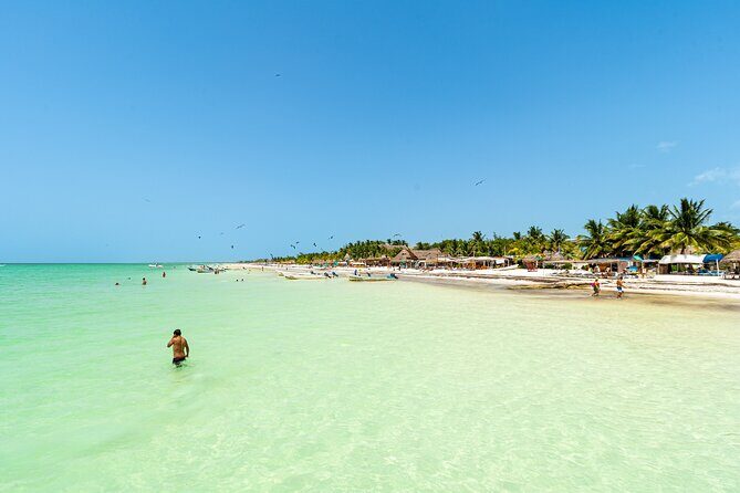 Full Day Holbox Island Tour from Playa del Carmen with Lunch - Immersing Yourself in Holbox Island
