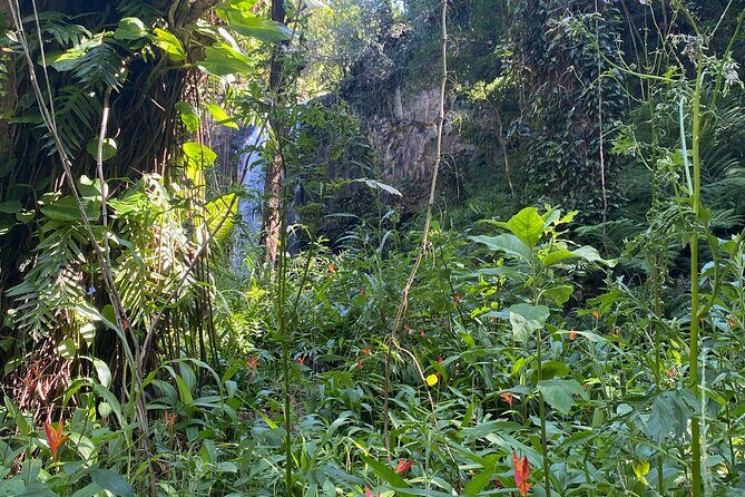 Full Day Island of Maui Private Tour - Transportation and Comfort