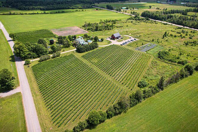 Full Day Pontiac Wine & Cider Tour - Day Trip From Ottawa & Gatineau - FAQs: Your Practical Questions Answered